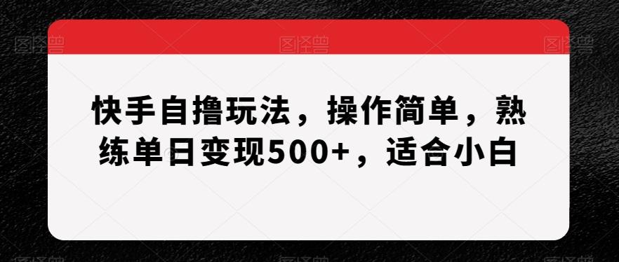 快手自撸玩法，操作简单，熟练单日变现500+，适合小白【揭秘】-豪讯资源网