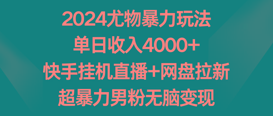 2024尤物暴力玩法 单日收入4000+快手挂机直播+网盘拉新 超暴力男粉无脑变现-豪讯资源网
