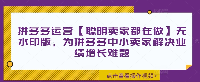 拼多多运营【聪明卖家都在做】无水印版，为拼多多中小卖家解决业绩增长难题-豪讯资源网