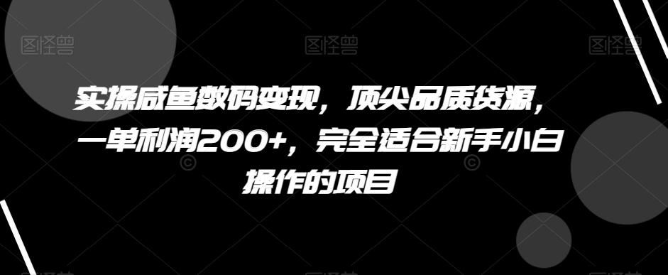 实操咸鱼数码变现，顶尖品质货源，一单利润200+，完全适合新手小白操作的项目【揭秘】-豪讯资源网