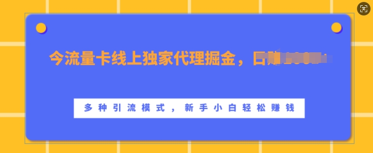 流量卡线上独家代理掘金，日入1k+ ，多种引流模式，新手小白轻松上手【揭秘】-豪讯资源网