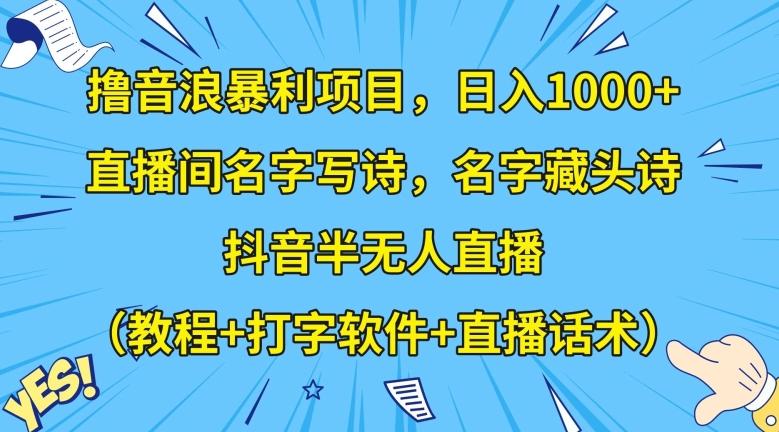 撸音浪暴利项目，日入1000+，直播间名字写诗，名字藏头诗，抖音半无人直播（教程+打字软件+直播话术）【揭秘】-豪讯资源网
