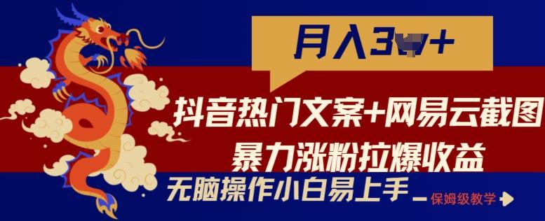 抖音热门文案+网易云截图暴力涨粉拉爆收益玩法，小白无脑操作，简单易上手【揭秘】-豪讯资源网