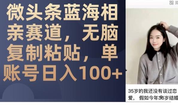 微头条蓝海相亲赛道，无脑复制粘贴，单账号日入100+-豪讯资源网
