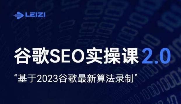 雷子·谷歌SEO 2.0实战课，独立站询盘自由必备，基于2023谷歌最新算法录制-豪讯资源网