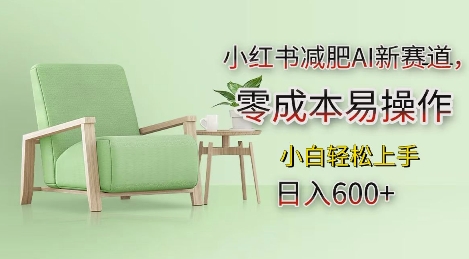 小红书减肥AI新赛道，零成本易操作，日入多张，小白轻松上手【揭秘】-豪讯资源网