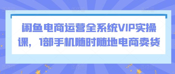 闲鱼电商运营全系统VIP实操课，1部手机随时随地电商卖货-豪讯资源网