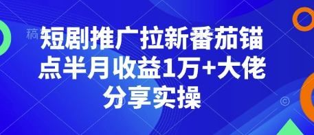 短剧推广拉新番茄锚点半月收益1万+大佬分享实操-豪讯资源网