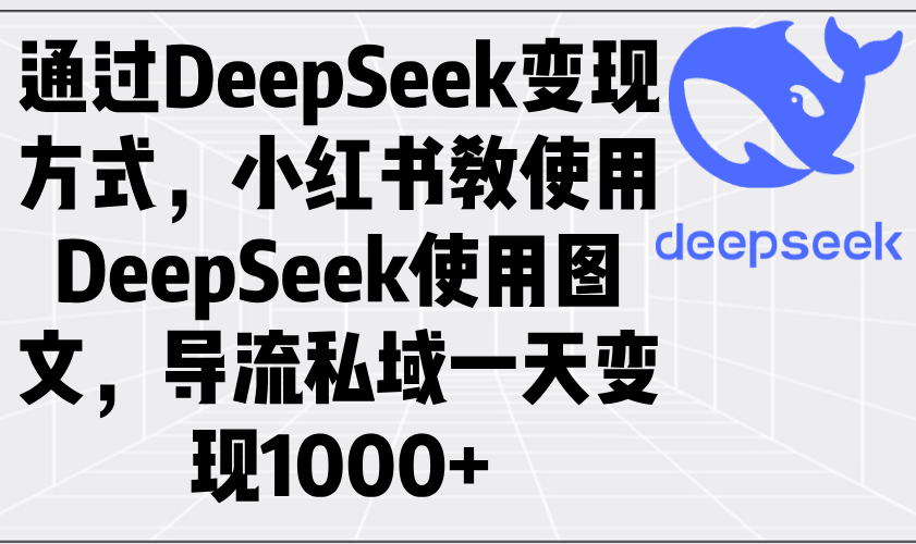 通过DeepSeek变现方式，小红书教使用DeepSeek图文，导流私域一天变现1000+-豪讯资源网