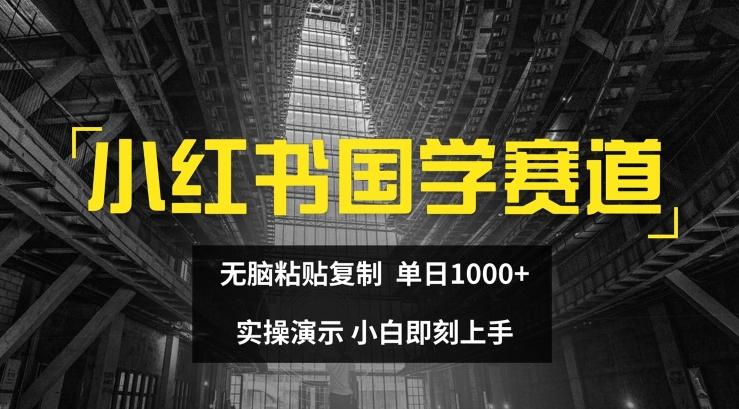 小红书国学赛道，无脑粘贴复制，单日1K，实操演示，小白即刻上手【揭秘】-豪讯资源网