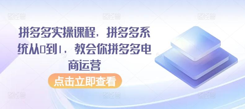 拼多多实操课程，拼多多系统从0到1，教会你拼多多电商运营-豪讯资源网