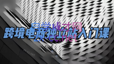 团长·跨境电商独立站入门课(2小时精华)-豪讯资源网