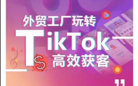 外贸工厂玩转TikTok高效获客，多种引流方式与账号定位技巧，拆解爆款短视频打造成功案例-豪讯资源网