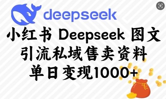 小红书Deepseek图文引流私域售卖资料，单日变现多张-豪讯资源网