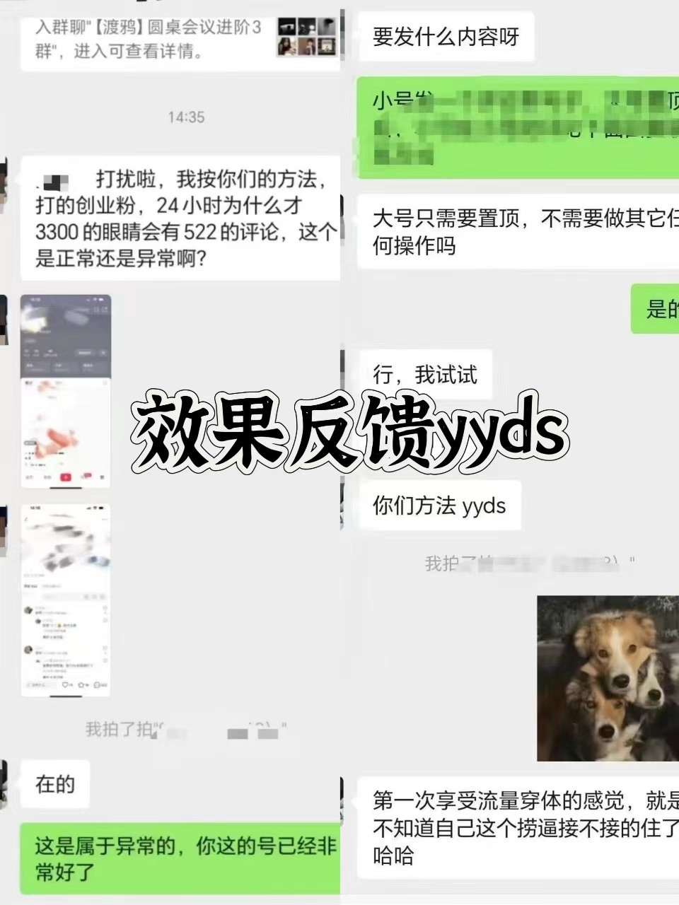 图片[3]-抖音小红书视频号全平台引流打法，全自动引流日引2000+精准客户-豪讯资源网
