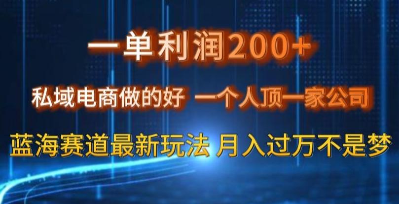 一单利润200私域电商做的好，一个人顶一家公司蓝海赛道最新玩法【揭秘】-豪讯资源网