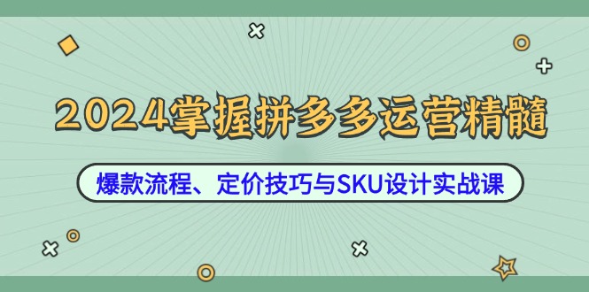 2024掌握拼多多运营精髓：爆款流程、定价技巧与SKU设计实战课-豪讯资源网