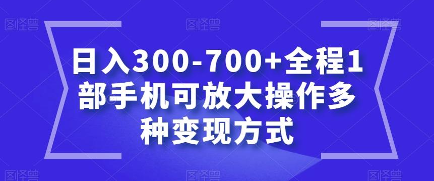 日入300-700+全程1部手机可放大操作多种变现方式【揭秘】-豪讯资源网