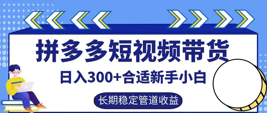 拼多多短视频带货日入300+，实操账户展示看就能学会-豪讯资源网