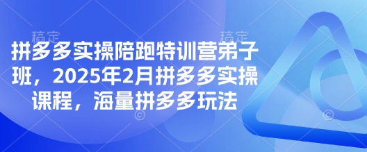 拼多多实操陪跑特训营弟子班，2025年2月拼多多实操课程，海量拼多多玩法-豪讯资源网