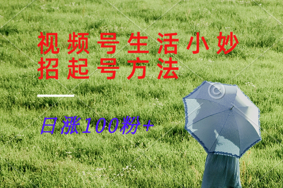 视频号生活小妙招分享赛道， 起号涨粉新方法，日涨100粉-豪讯资源网