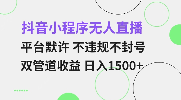 抖音小程序无人直播 平台默许 不违规不封号 双管道收益 日入多张 小白也能轻松操作【仅揭秘】-豪讯资源网