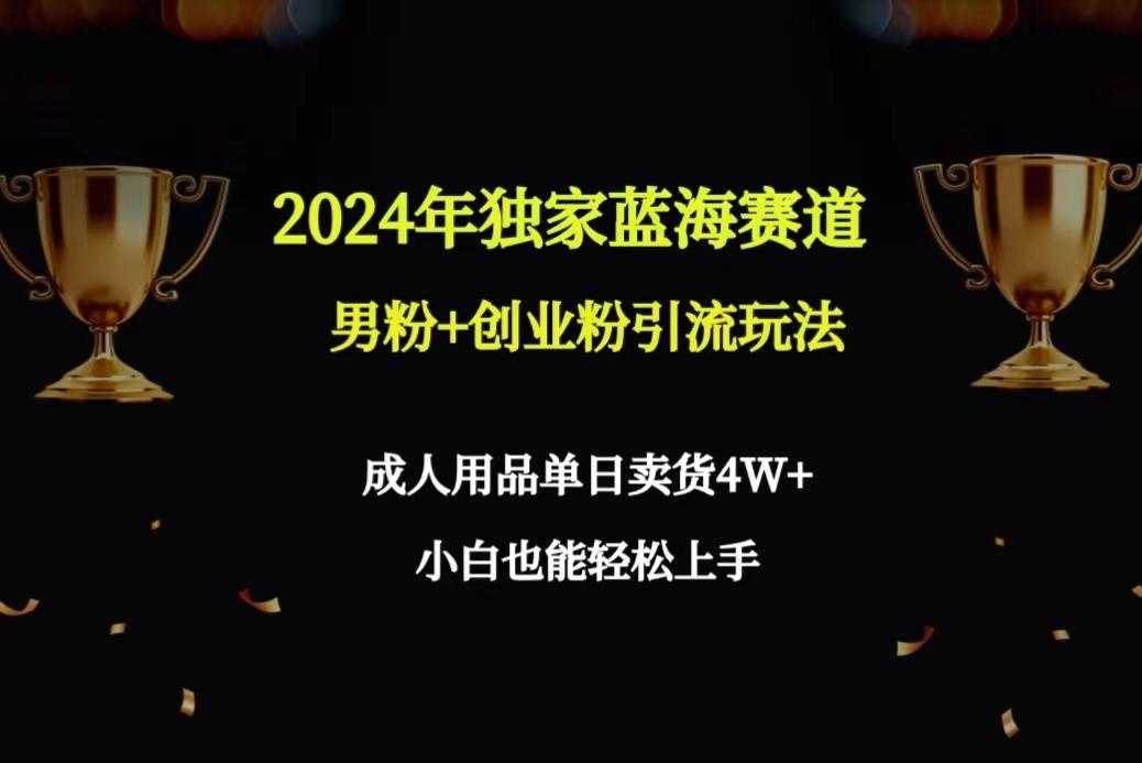 2024年独家蓝海赛道男粉+创业粉引流玩法，成人用品单日卖货4W+保姆教程-豪讯资源网