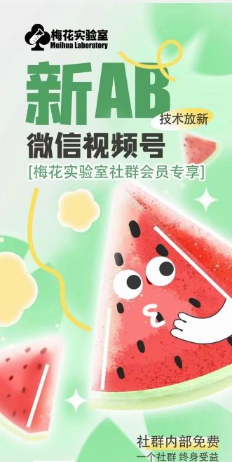 梅花实验室2024年AB技术视频号AB合成破解版-豪讯资源网