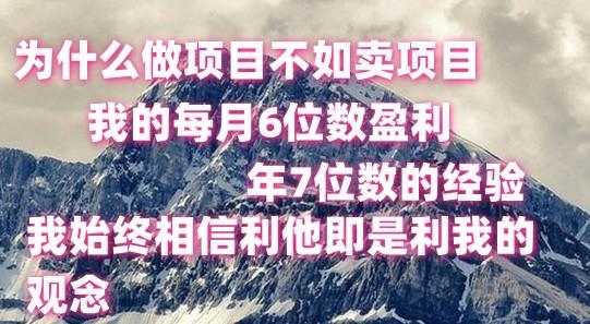 做项目不如卖项目，每月6位数盈利，年7位数经验-豪讯资源网
