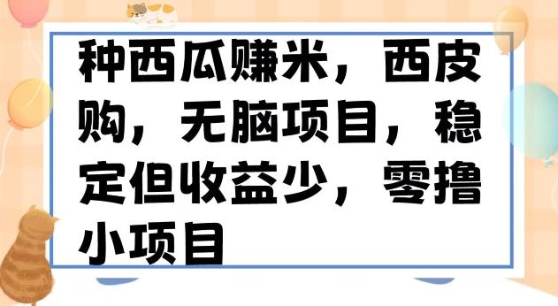 种西瓜赚米，西皮购稳定长久零撸小项目-豪讯资源网