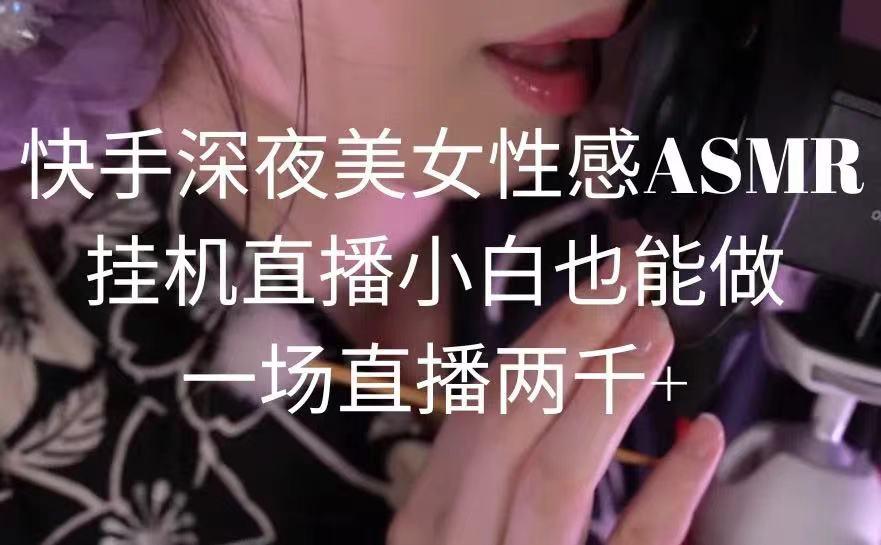 快手深夜美女性感ASMR挂机直播，小白也能做，一场直播两千+-豪讯资源网