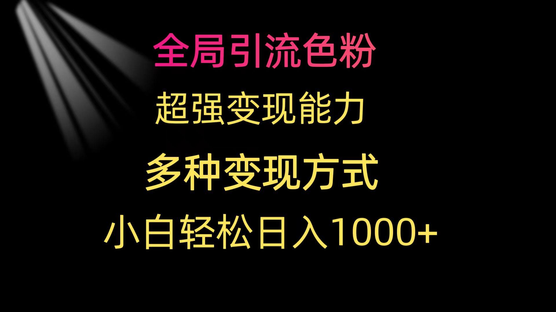 (9680期)全局引流色粉 超强变现能力 多种变现方式 小白轻松日入1000+-豪讯资源网