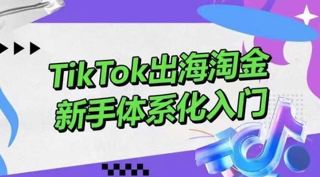 TikTok出海淘金，新手体系化入门，零基础快速入门，掌握短视频、直播带货等引流到变现的知识-豪讯资源网