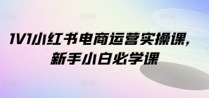 1V1小红书电商运营实操课，新手小白必学课-豪讯资源网