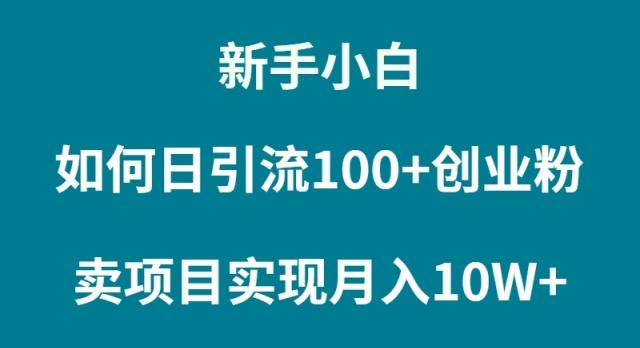 (9556期)新手小白如何通过卖项目实现月入10W+-豪讯资源网