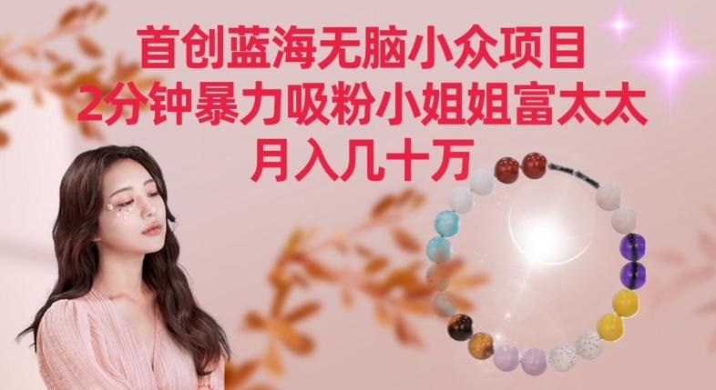 首创蓝海无脑小众项目，2分钟暴力吸粉小姐姐富太太，月入几十万【揭秘】-豪讯资源网