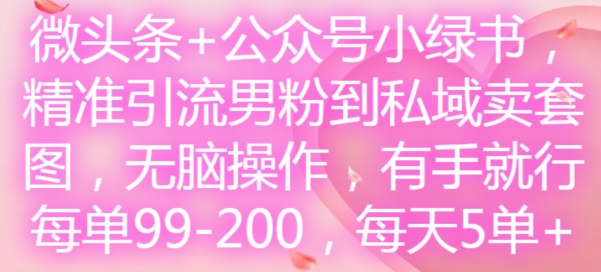 微头条+公众号小绿书，精准引流男粉到私域卖套图，无脑操作，有手就行，每单99-200，每天5单-豪讯资源网