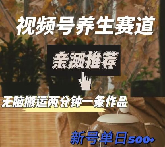 视频号养生赛道暴力掘金，无脑搬运，两分钟一条作品-新日单入500+-豪讯资源网