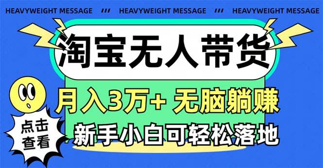 淘宝无人带货3.0高收益玩法，月入3万+，无脑躺赚，新手小白可落地实操-豪讯资源网