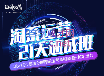 淘系运营21天速成班(更新24年6月)-豪讯资源网