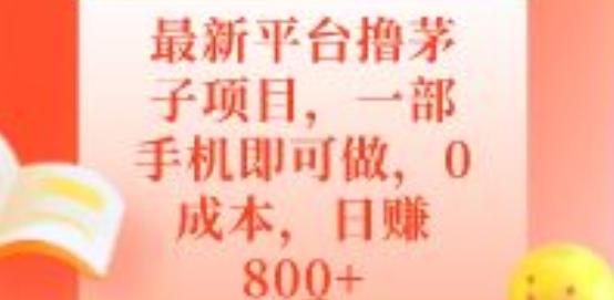 最新平台撸茅子项目，一部手机即可做，0成本，日赚800+-豪讯资源网