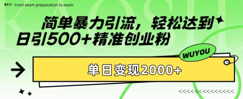 简单暴力引流，轻松达到日引500+精准创业粉，单日变现2k【揭秘】-豪讯资源网