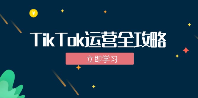 TikTok实战运营全攻略：从下载软件到变现，抖音海外版实操教程-豪讯资源网