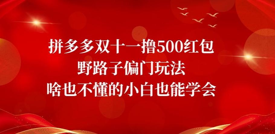 拼多多双十一撸500红包野路子偏门玩法，啥也不懂的小白也能学会【揭秘】-豪讯资源网