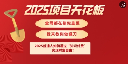2025项目天花板普通人如何通过知识付费，实现财F自由【揭秘】-豪讯资源网